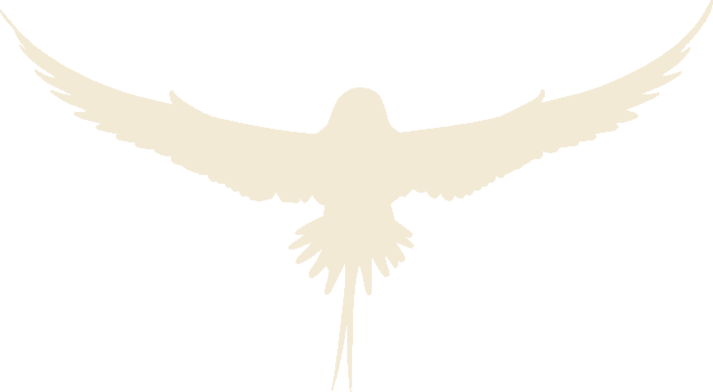 Hawaii Glider Rides bird mark