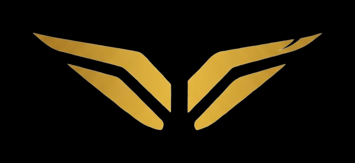 Skyland Air gold wing mark